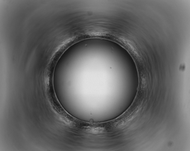 X0000100380539200806131102