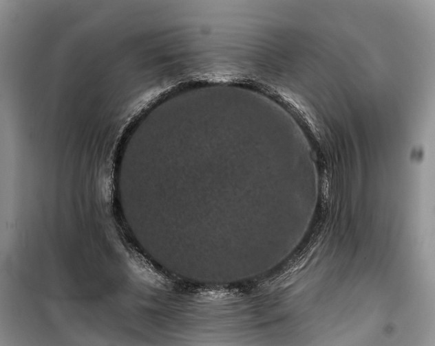 X0000100380540200806131102