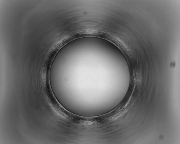X0000100380542200806131102
