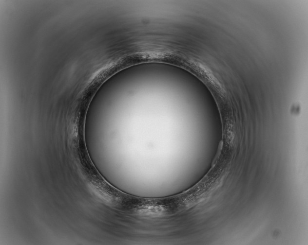 X0000100380543200806131102