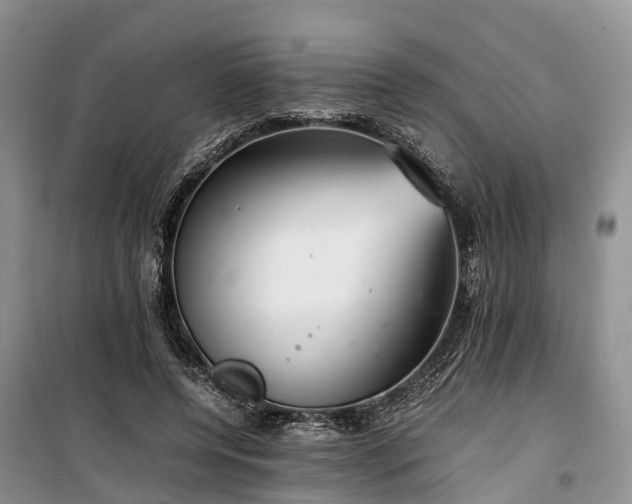 X0000100380544200806131102