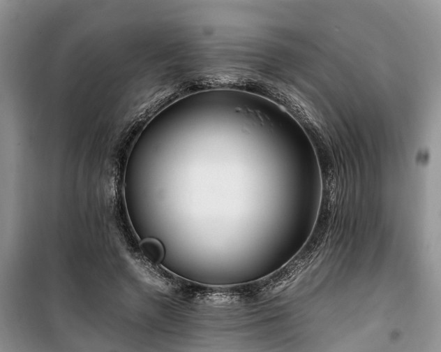 X0000100380546200806131102