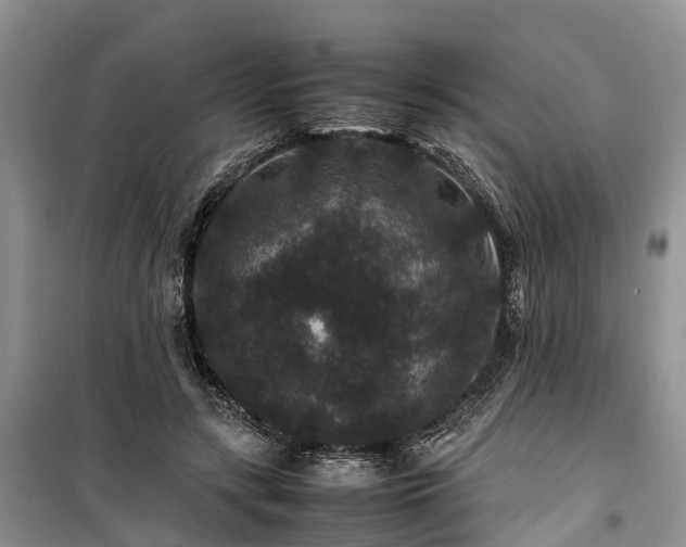 X0000100380547200806131102