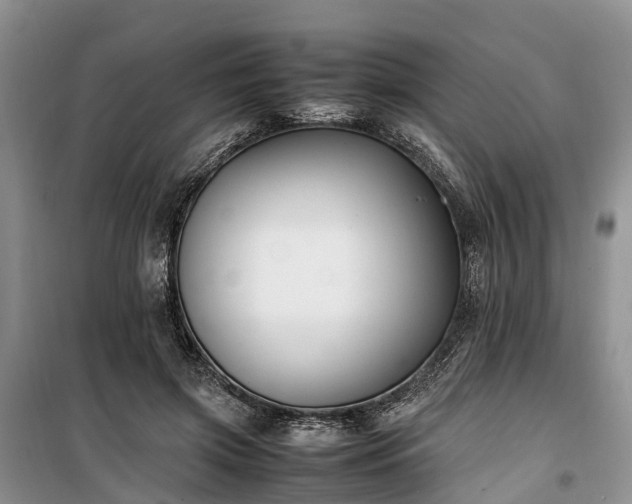 X0000100380549200806131102