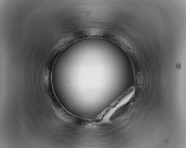 X0000100380550200806131102