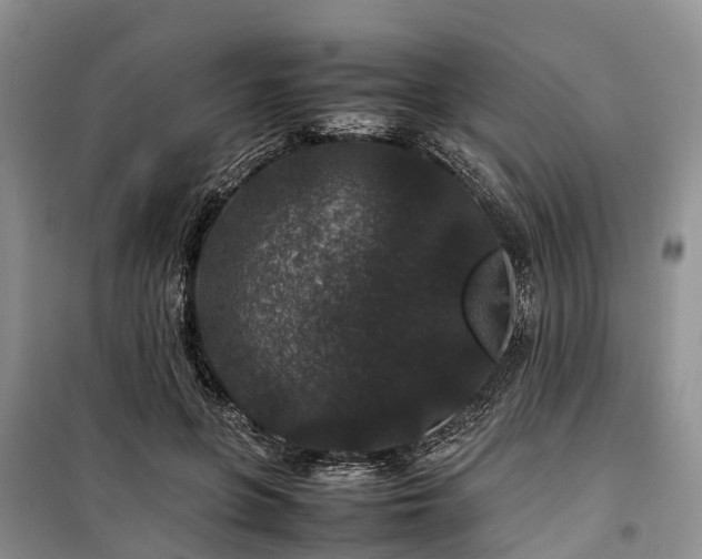 X0000100380551200806131102