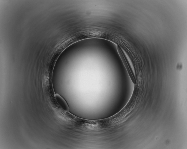 X0000100380552200806131102