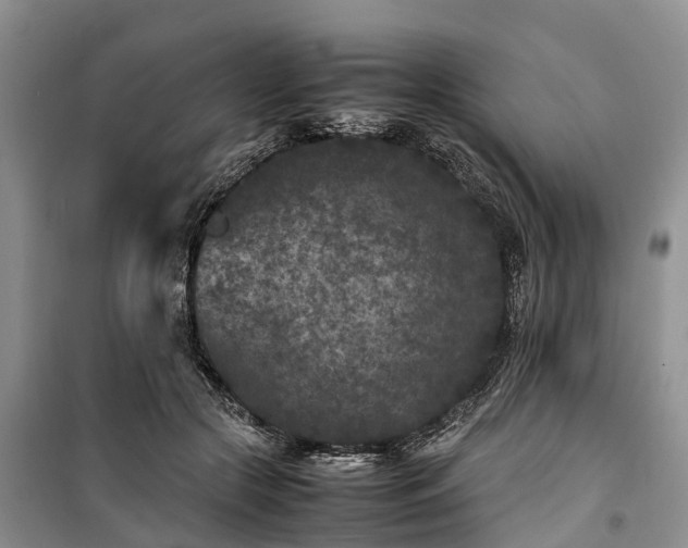 X0000100380553200806131102