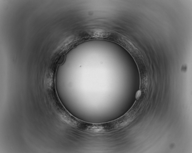 X0000100380554200806131102