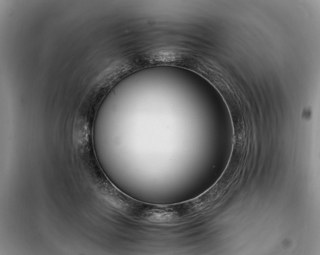 X0000100380555200806131102