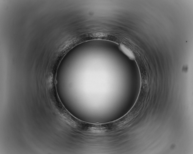 X0000100380556200806131102