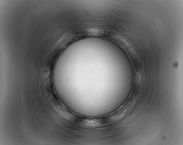 X0000100380557200806131102