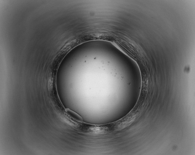 X0000100380558200806131102