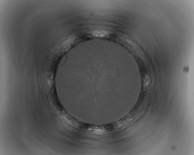 X0000100380559200806131102