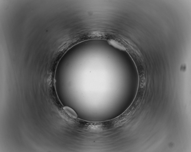 X0000100380560200806131102