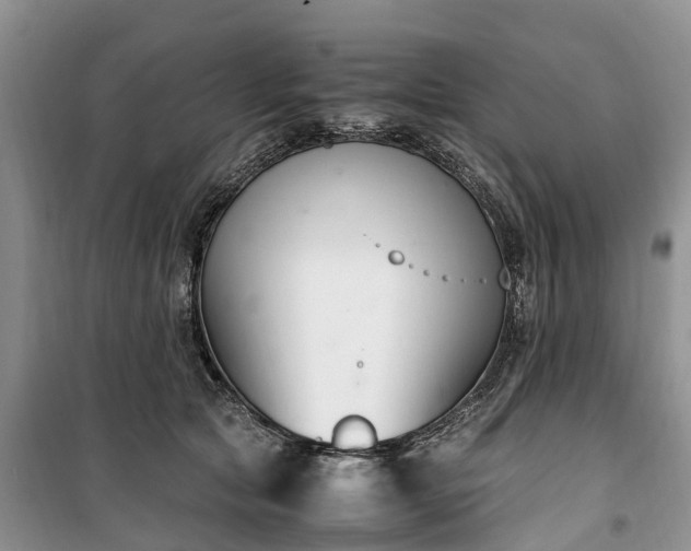 X0000100380561200806131102