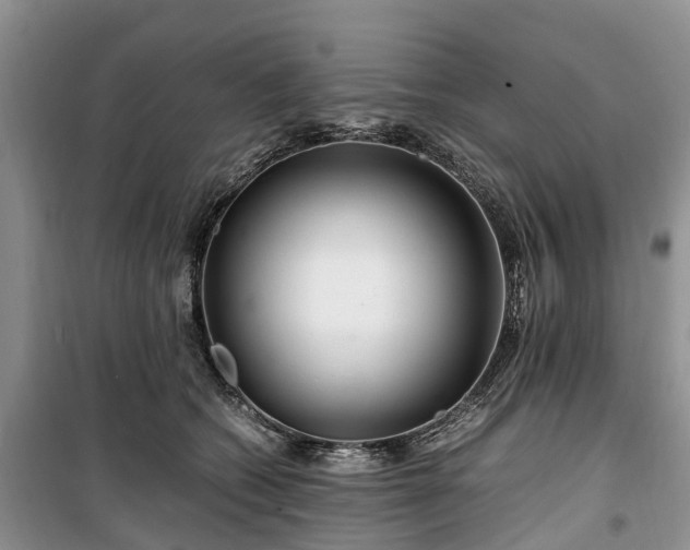 X0000100380562200806131102