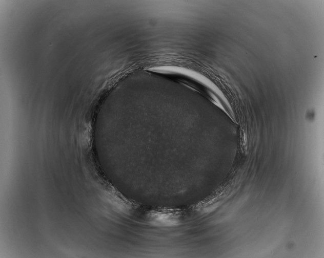 X0000100380563200806131102