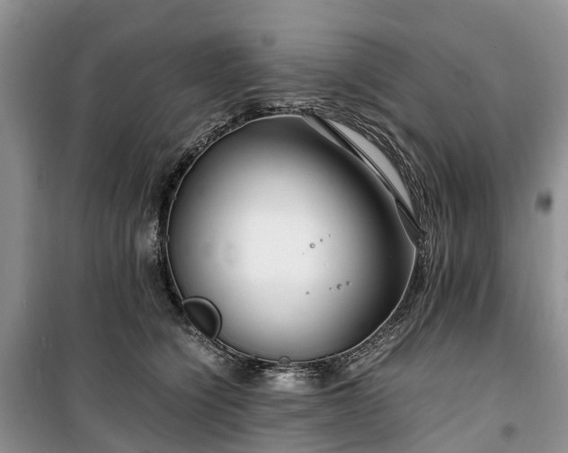 X0000100380564200806131102