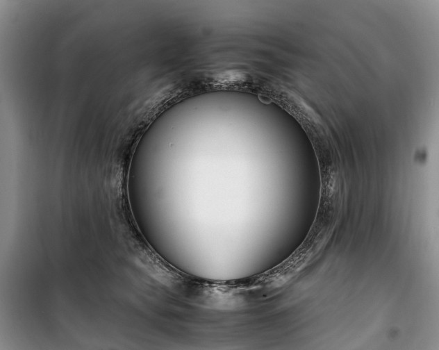 X0000100380565200806131102