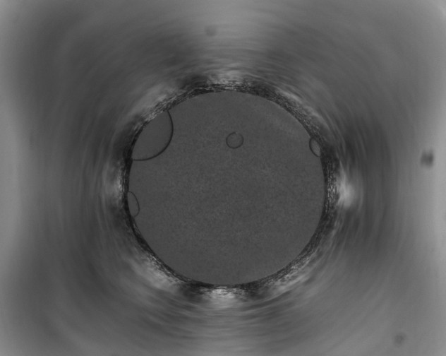 X0000100380566200806131102