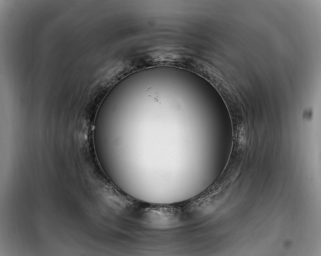 X0000100380567200806131102