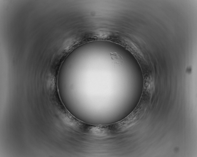 X0000100380568200806131102