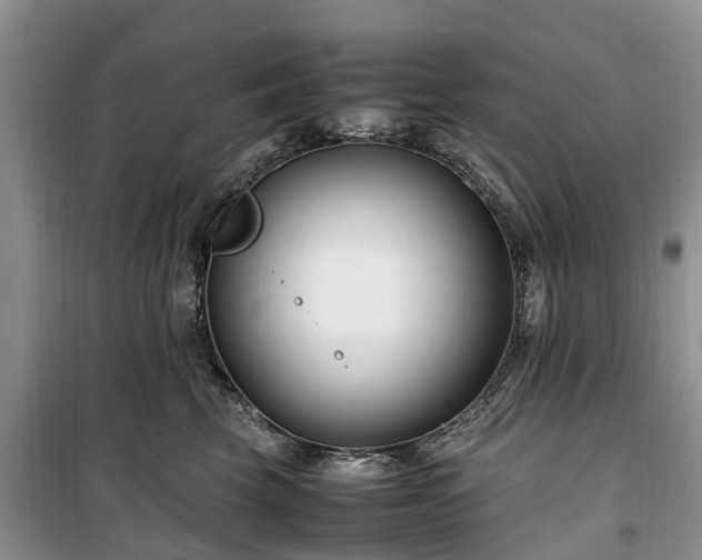 X0000100380569200806131102