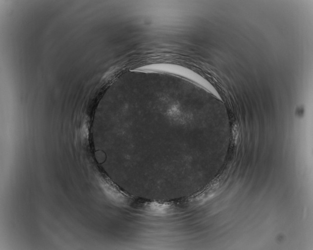 X0000100380570200806131102