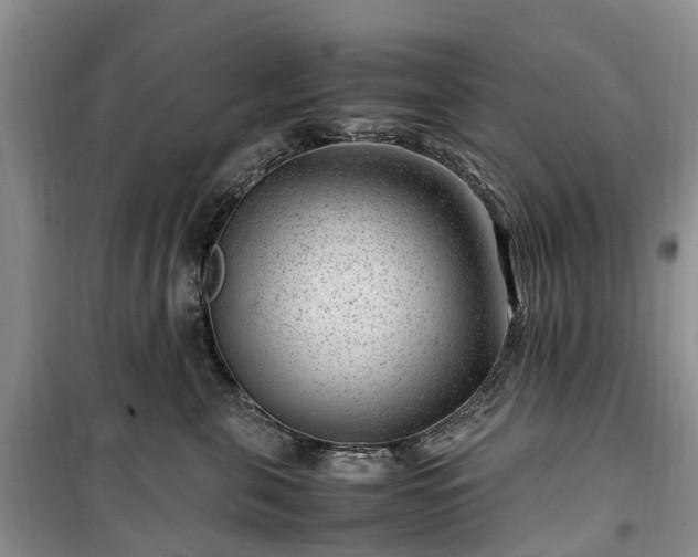 X0000100380571200806131102