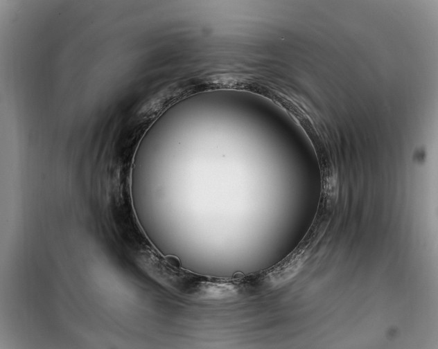 X0000100380572200806131102