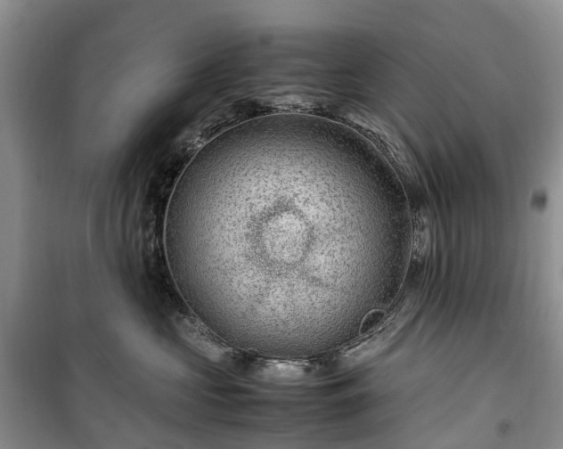X0000100380573200806131102