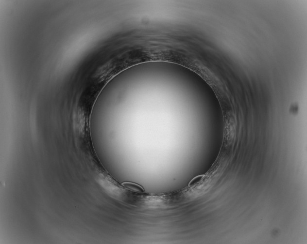 X0000100380574200806131102