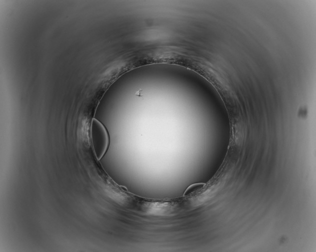 X0000100380575200806131102