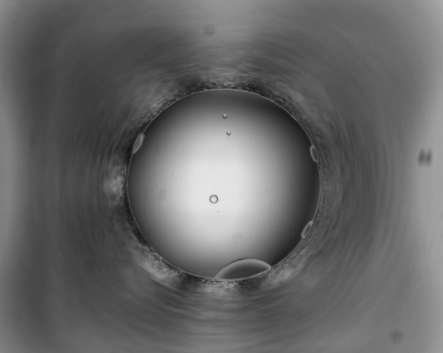 X0000100380576200806131102