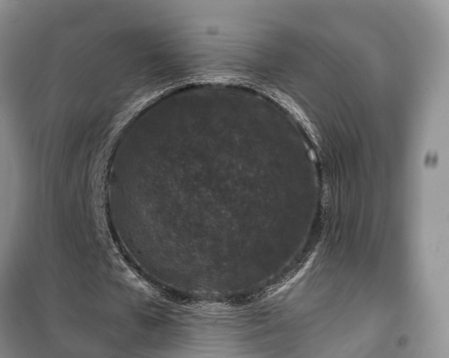 X0000100380577200806131102