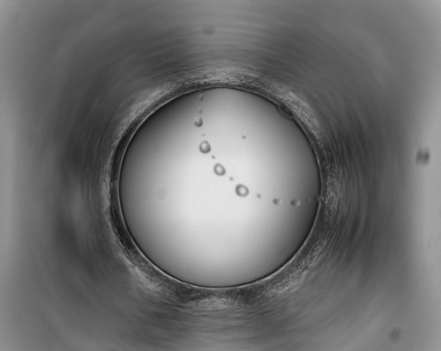X0000100380578200806131102