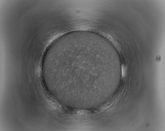 X0000100380579200806131102