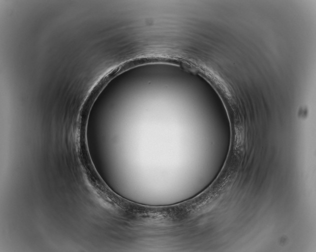 X0000100380580200806131102