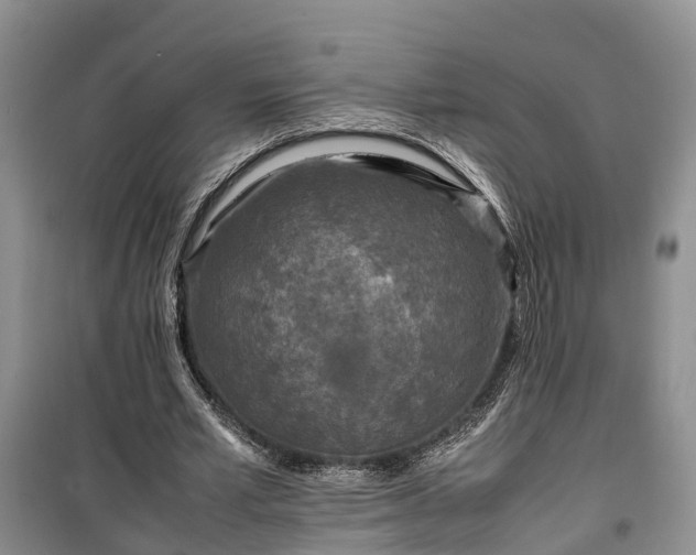 X0000100380581200806131102