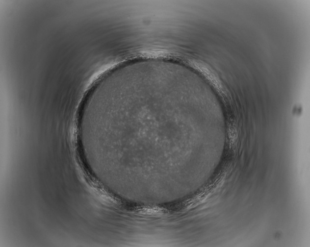 X0000100380583200806131101