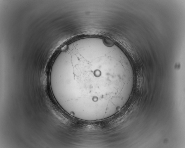 X0000100380584200806131101