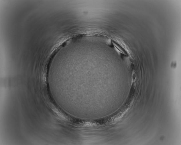 X0000100380585200806131101