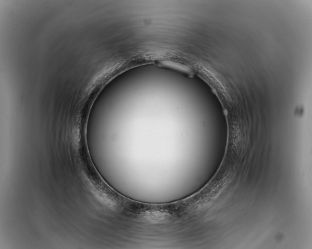 X0000100380586200806131101