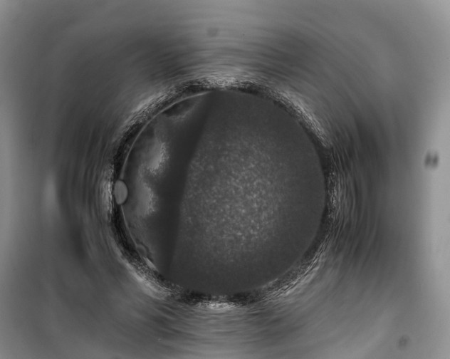 X0000100380590200806131101