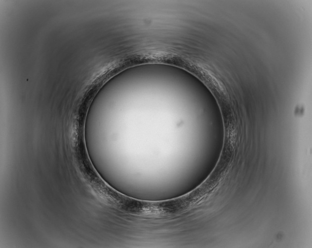 X0000100380591200806131101