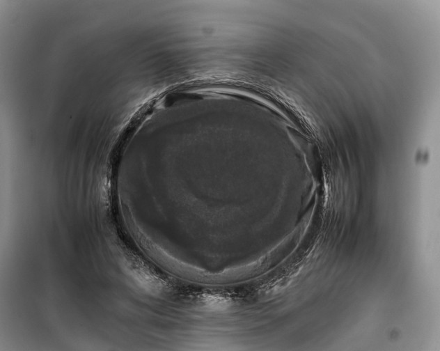 X0000100380592200806131101