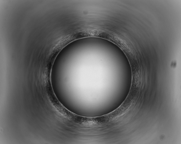 X0000100380594200806131101