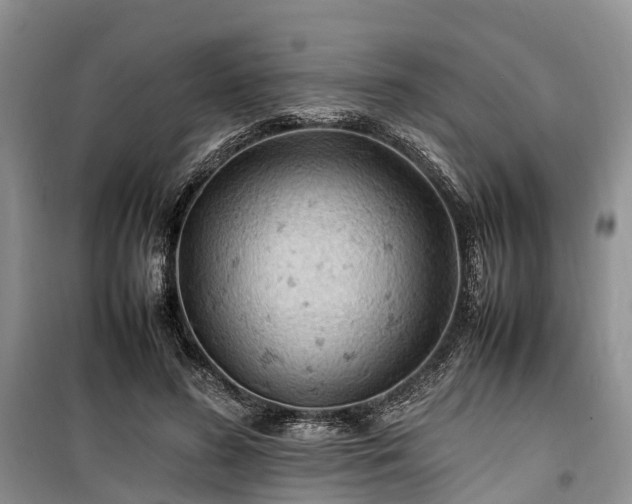 X0000100380596200806131101