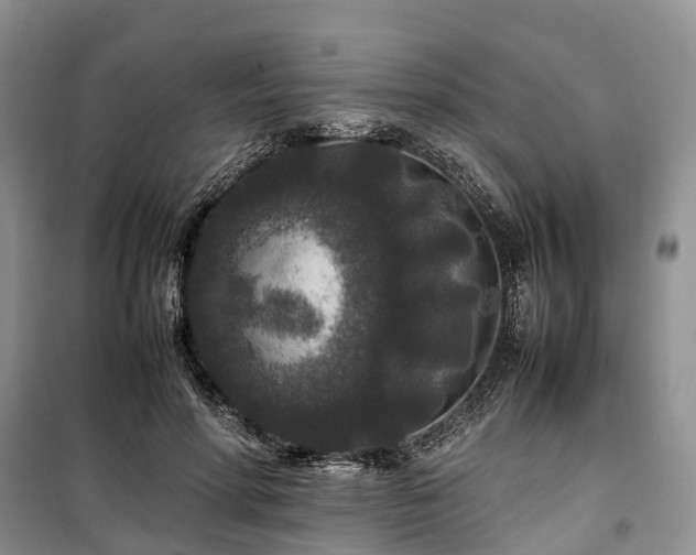 X0000100380598200806131101
